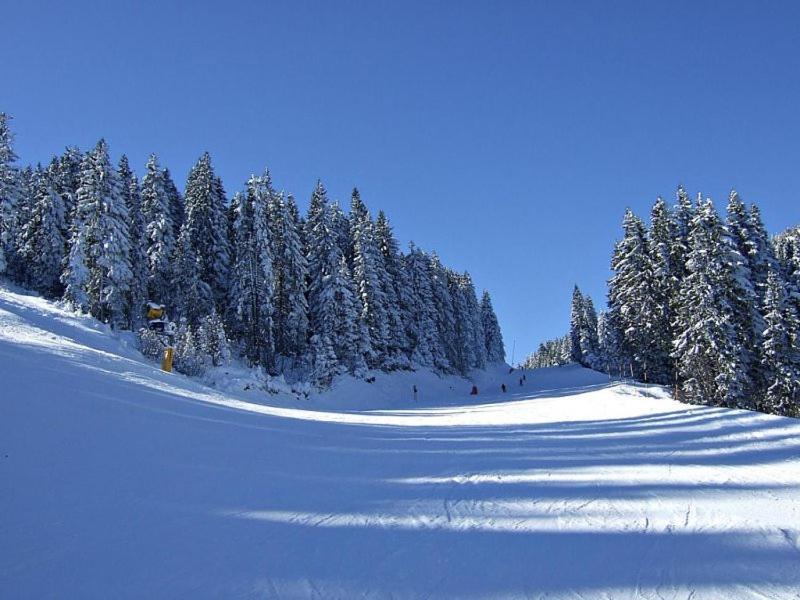 L&N Apartmani Kopaonik-Milmari Resort Esterno foto