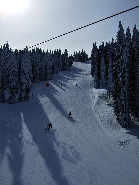 L&N Apartmani Kopaonik-Milmari Resort Esterno foto